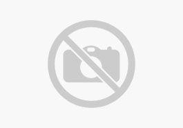 Seat Arona 1.0 TSI DSG Style LED+Navi+Keyless+RFK+ACC+SHZ+PDC